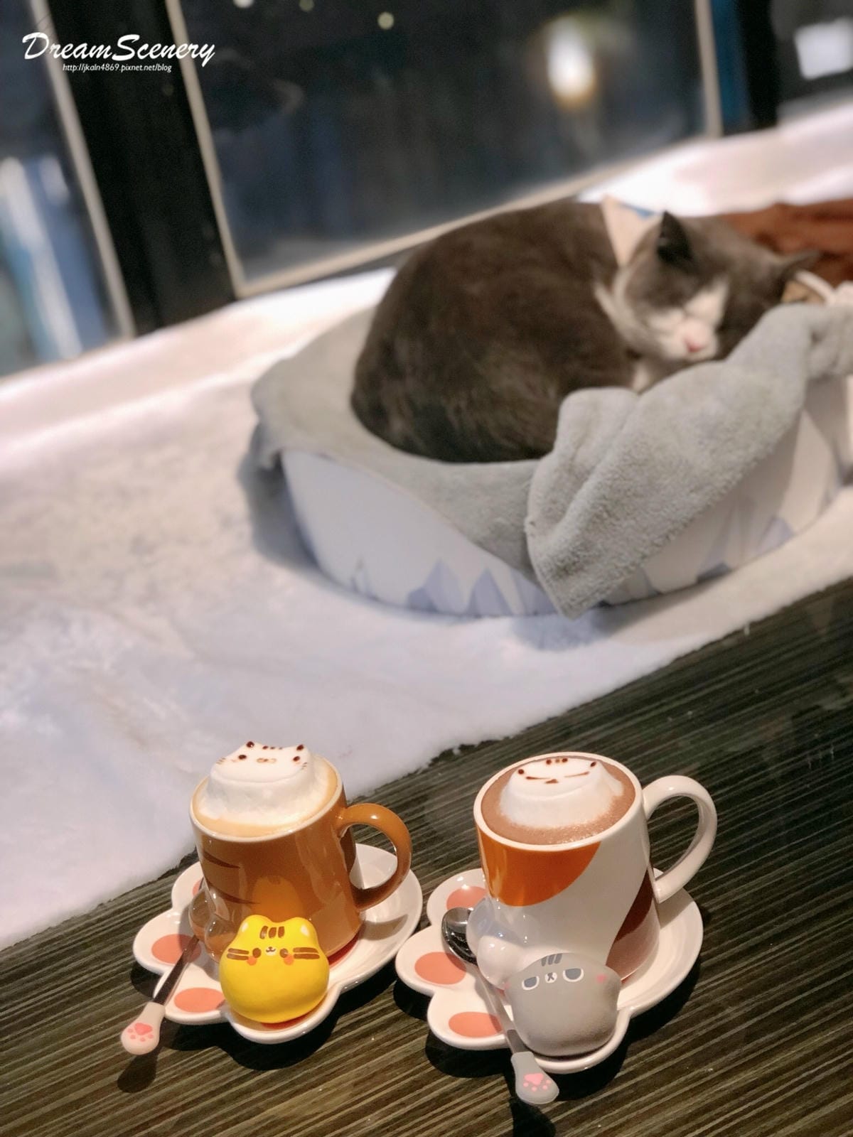 The Who Cafe x Kim%26;Yim 金銀喵 The Who Cafe x Kim%26;Yim 金銀喵