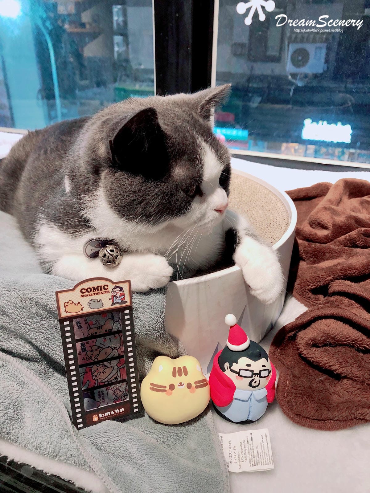 The Who Cafe x Kim%26;Yim 金銀喵 The Who Cafe x Kim%26;Yim 金銀喵