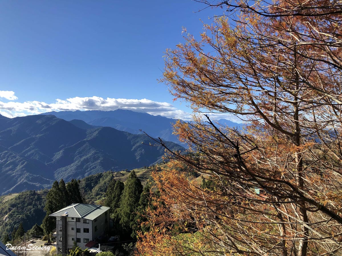 【台灣-南投】楓葉山莊 【台灣-南投】楓葉山莊