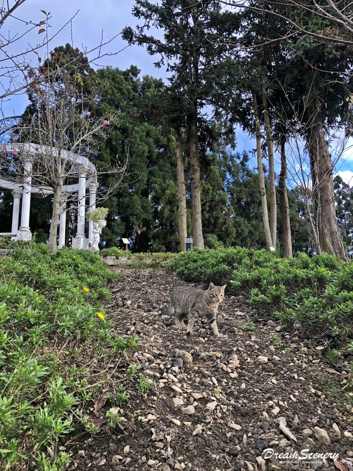 小瑞士 小瑞士
