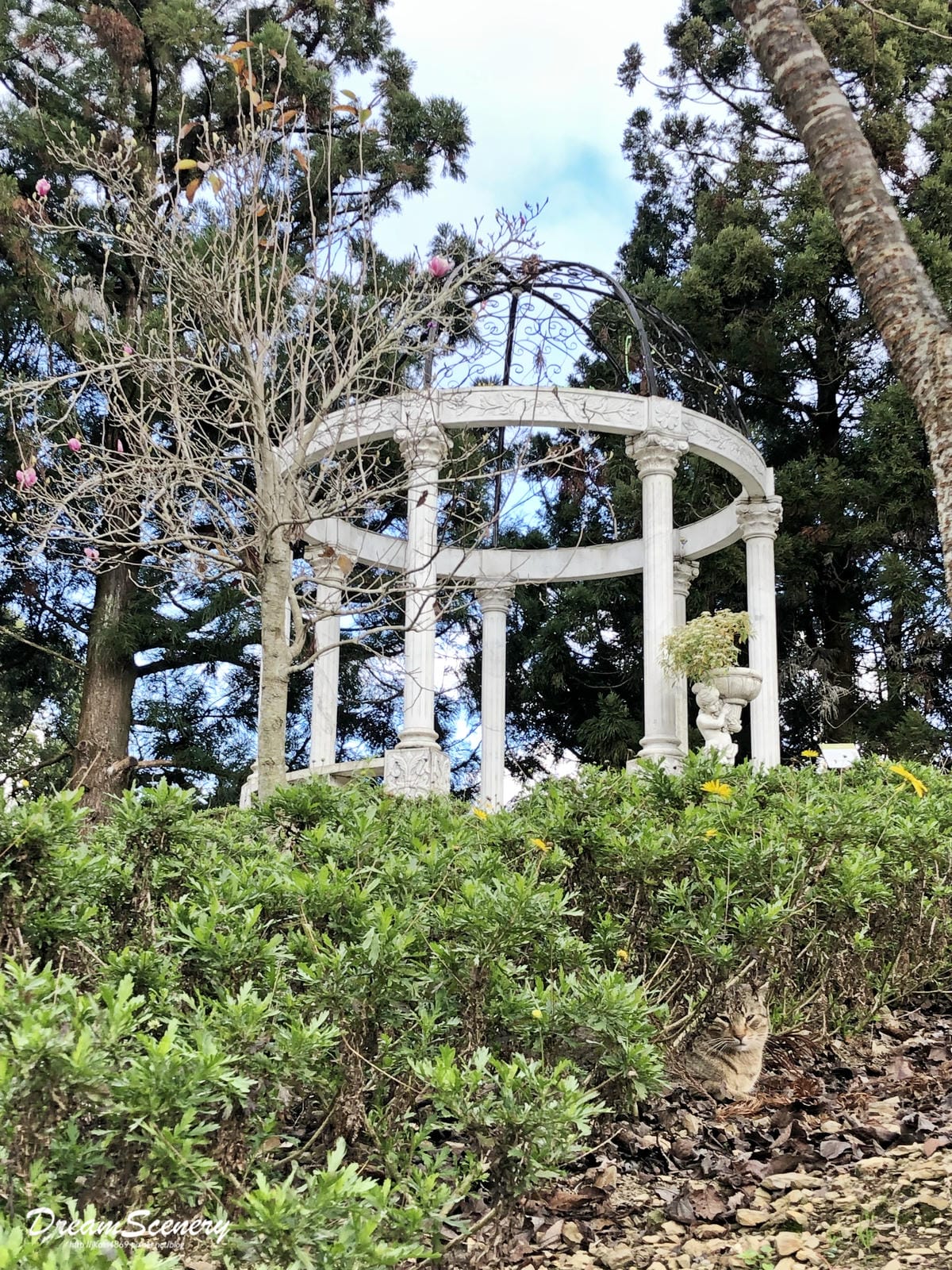 小瑞士 小瑞士