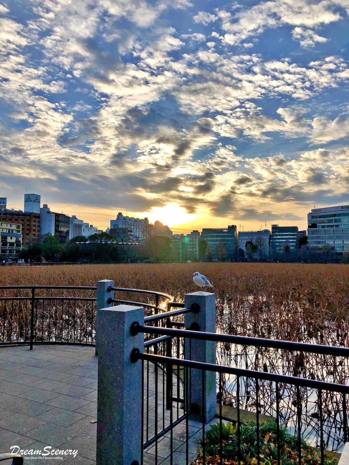 不忍池弁天堂 不忍池弁天堂