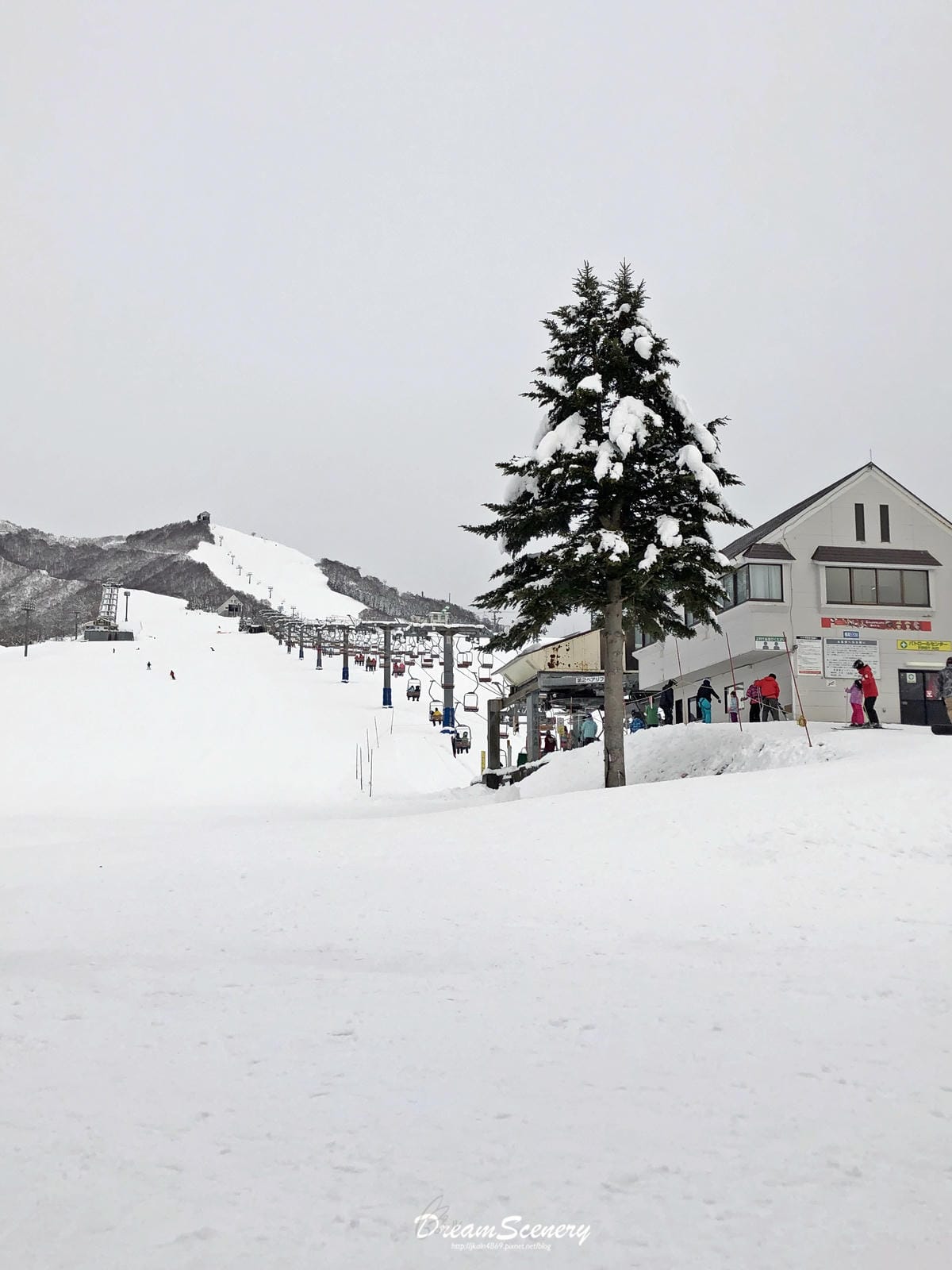 岩原スキー場 岩原スキー場