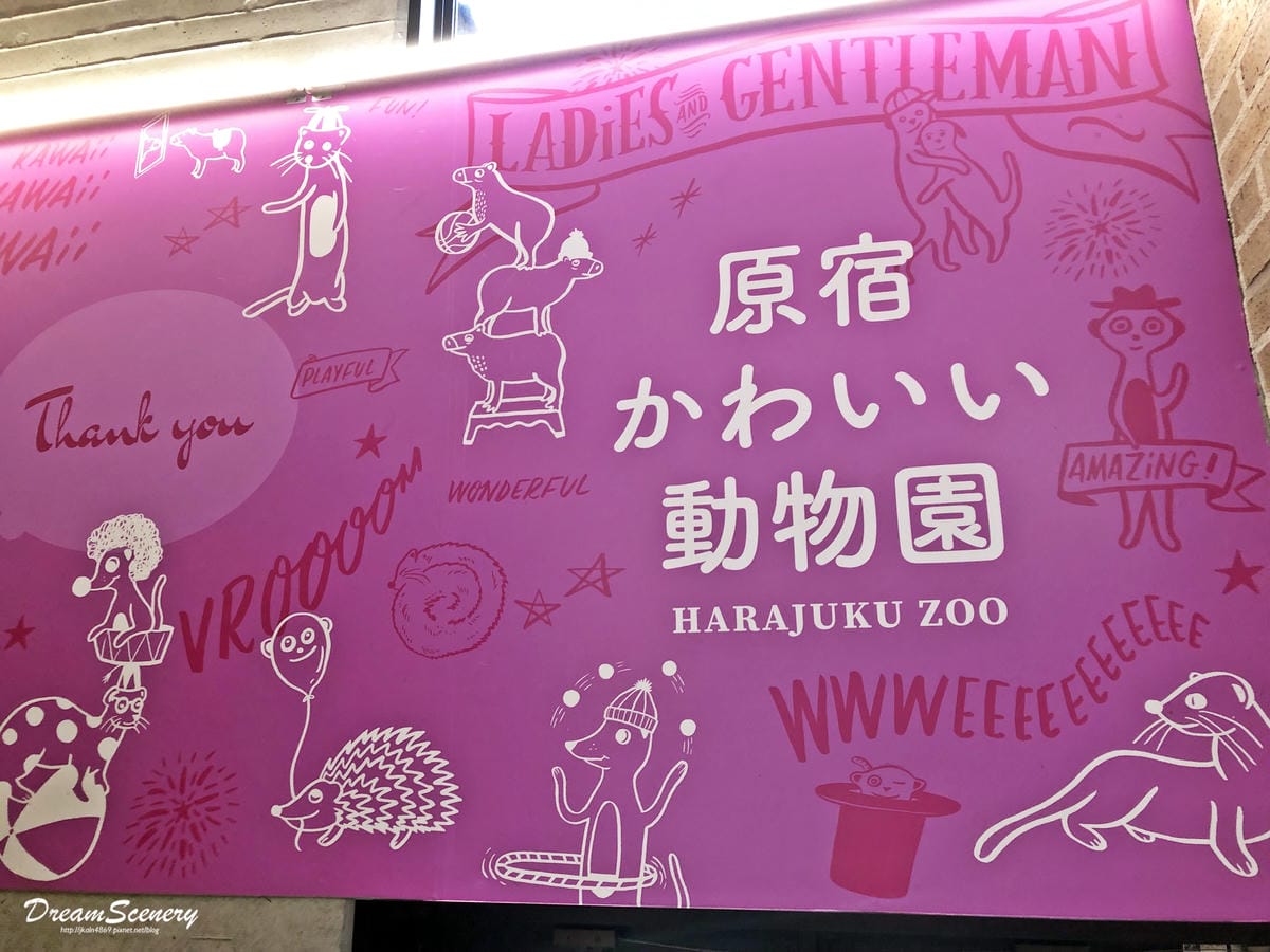 Harajuku Zoo Land Cafe Harajuku Zoo Land Cafe