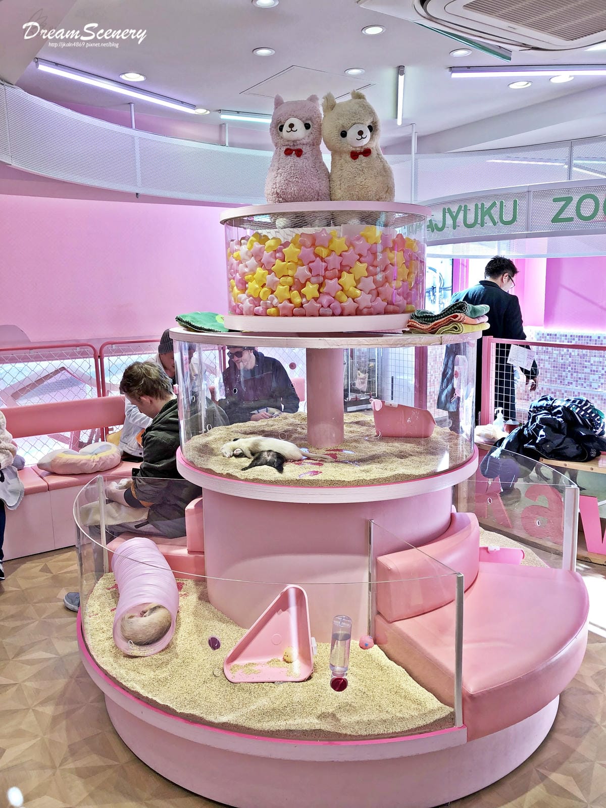 Harajuku Zoo Land Cafe Harajuku Zoo Land Cafe