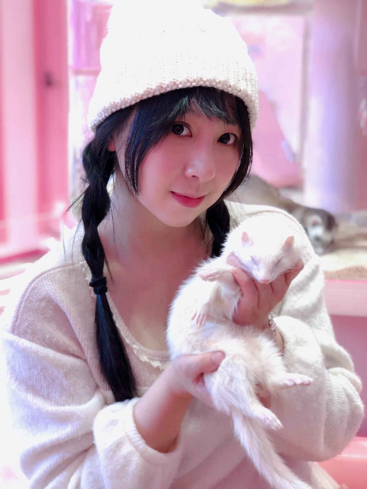 Harajuku Zoo Land Cafe Harajuku Zoo Land Cafe