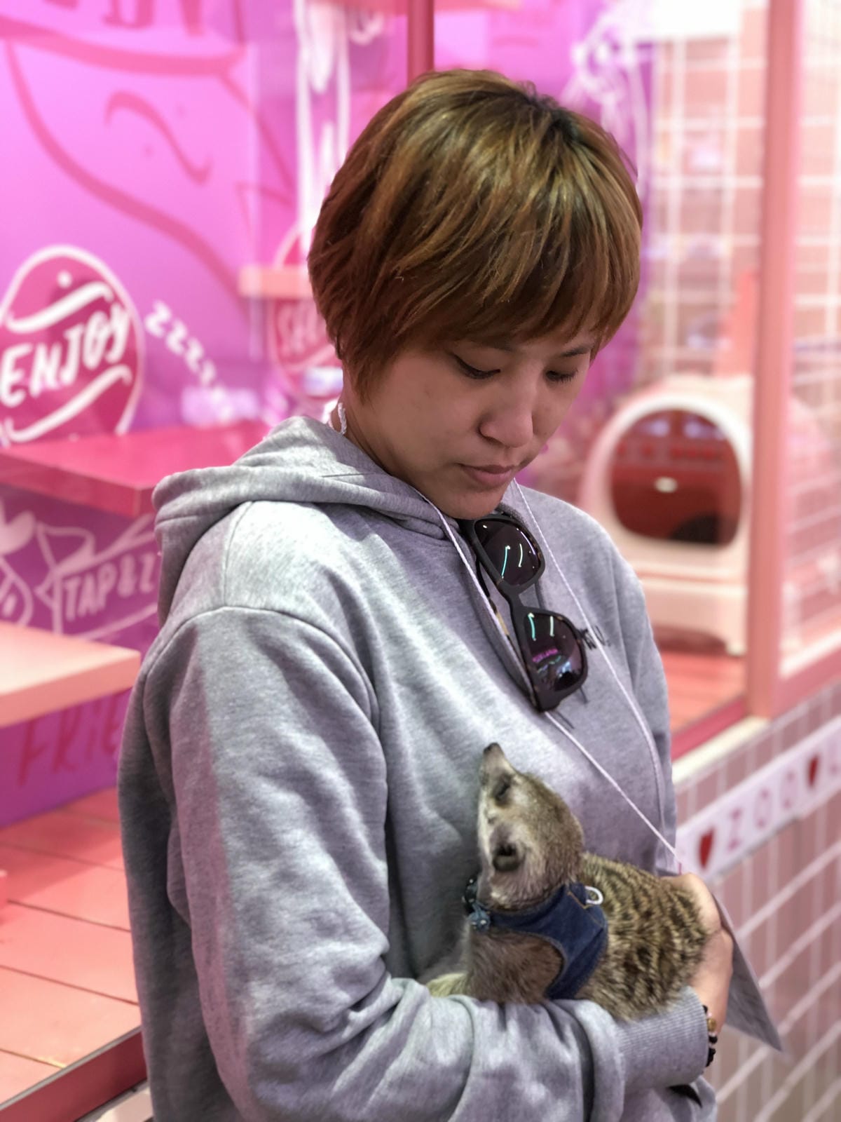 Harajuku Zoo Land Cafe Harajuku Zoo Land Cafe