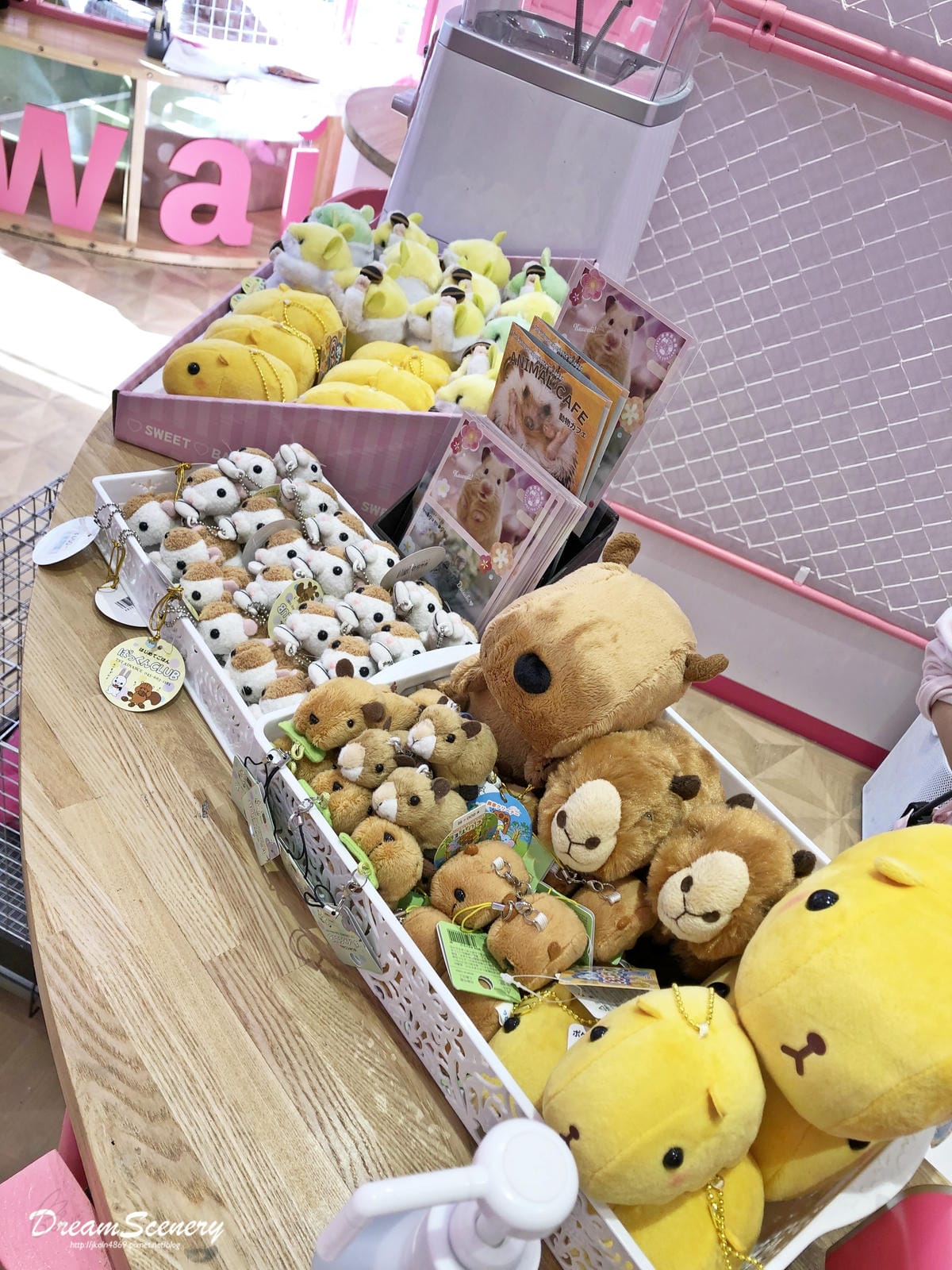 Harajuku Zoo Land Cafe Harajuku Zoo Land Cafe