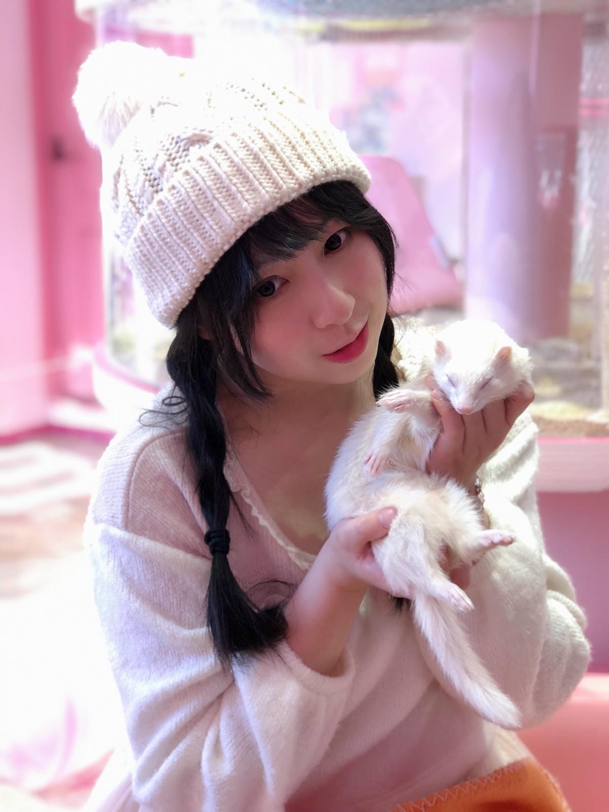 Harajuku Zoo Land Cafe Harajuku Zoo Land Cafe