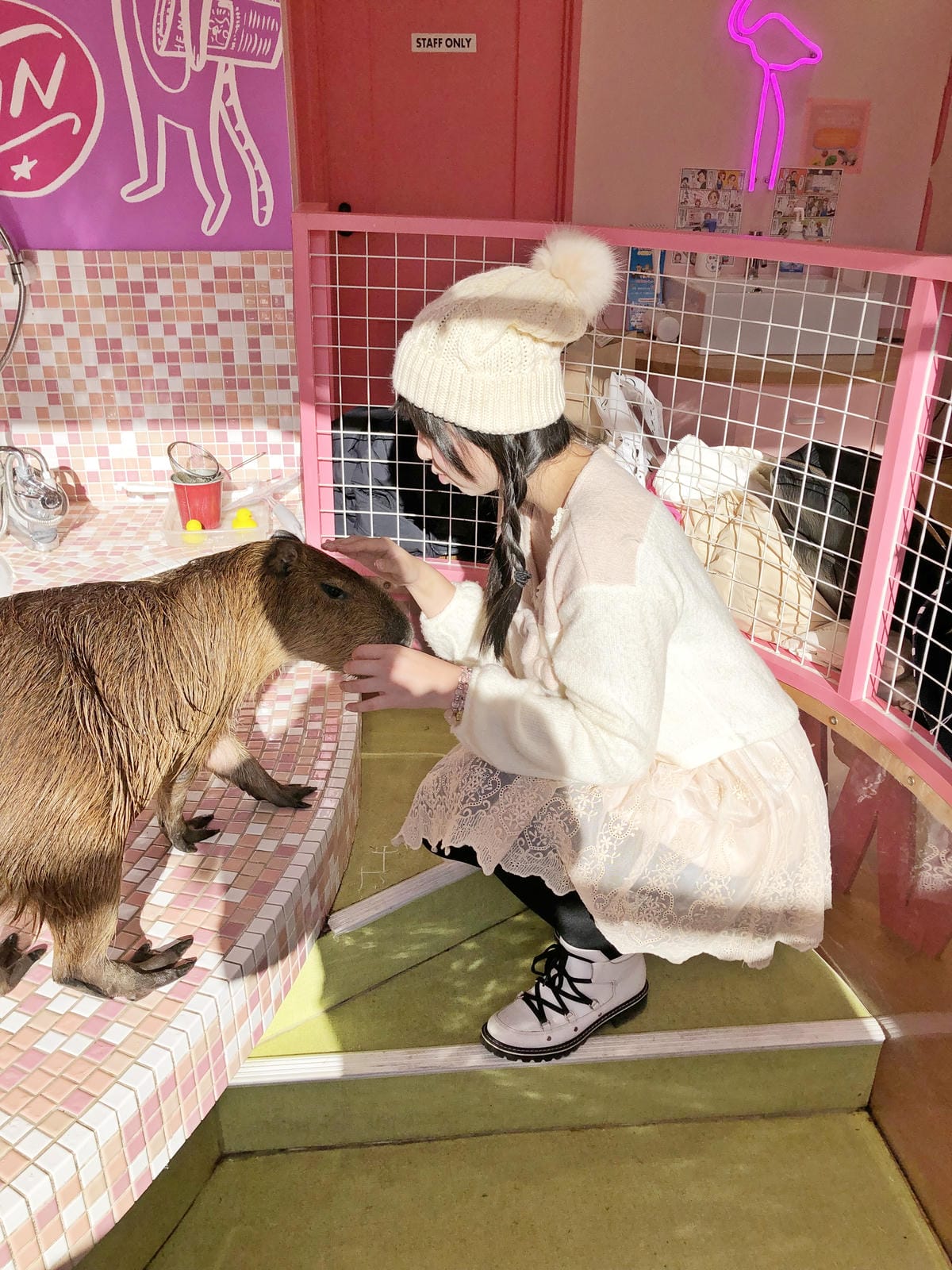 Harajuku Zoo Land Cafe Harajuku Zoo Land Cafe