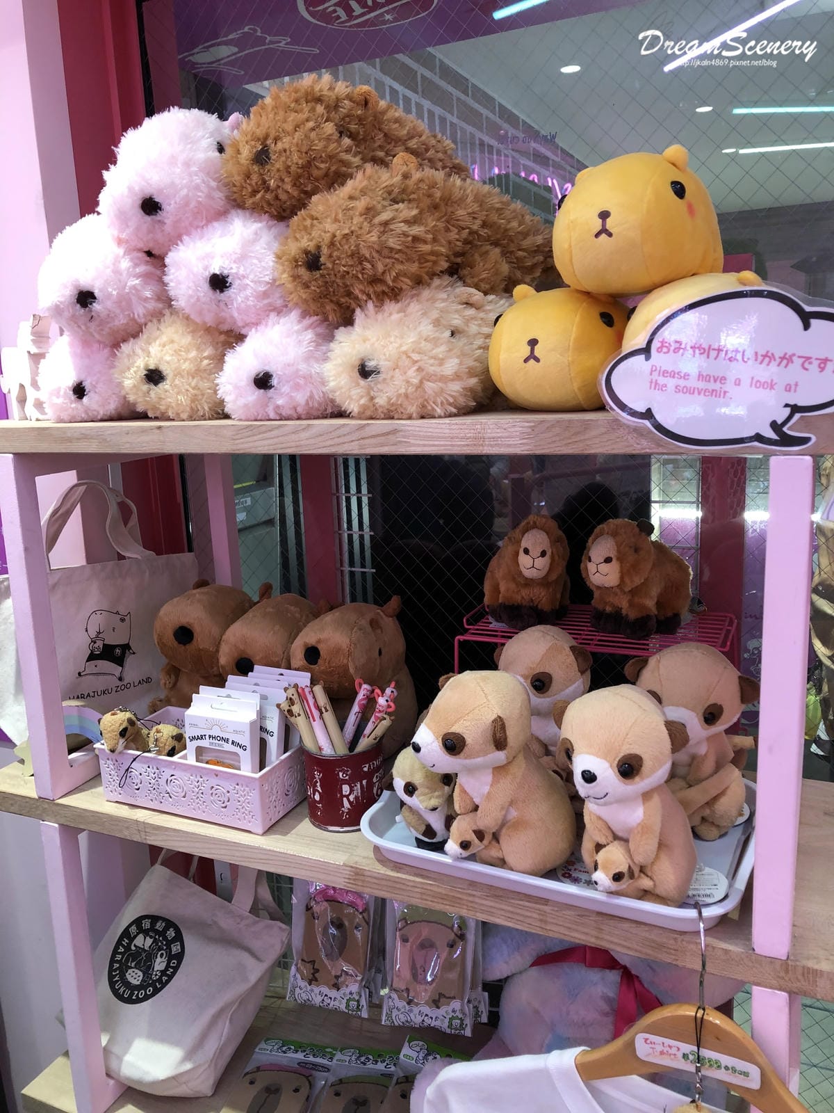 Harajuku Zoo Land Cafe Harajuku Zoo Land Cafe