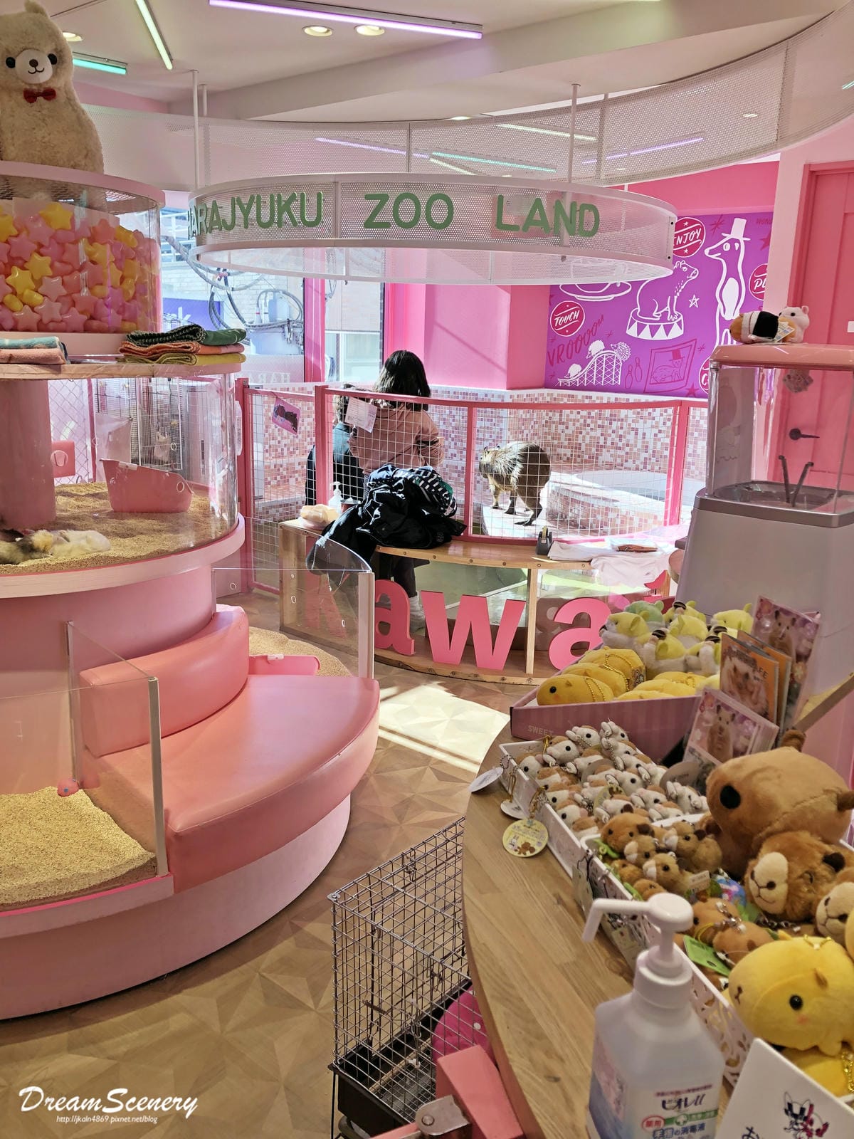 Harajuku Zoo Land Cafe Harajuku Zoo Land Cafe