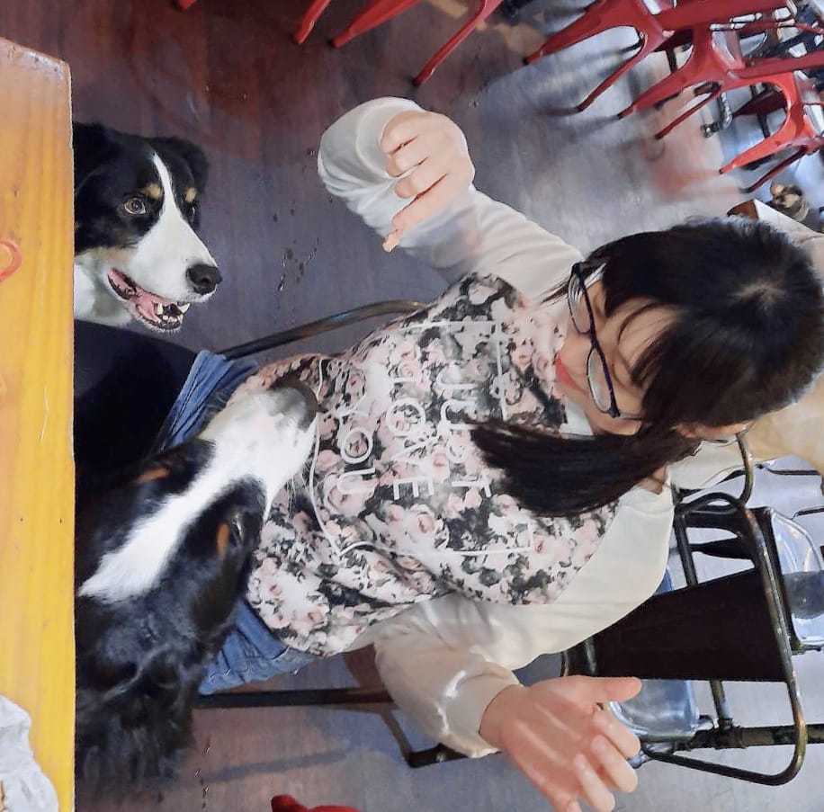 食。光機 食。光機