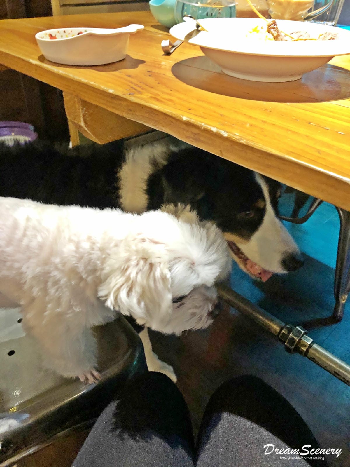 食。光機 食。光機
