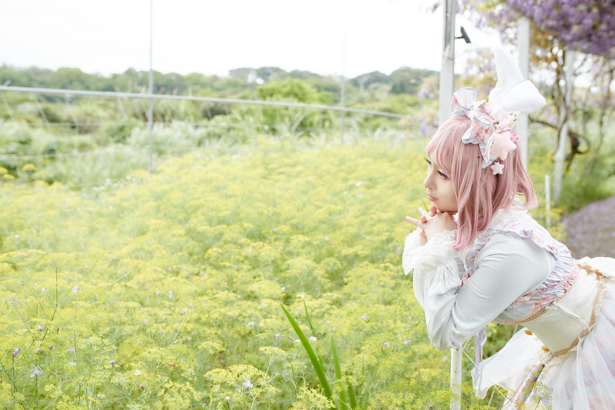 2020紫藤花