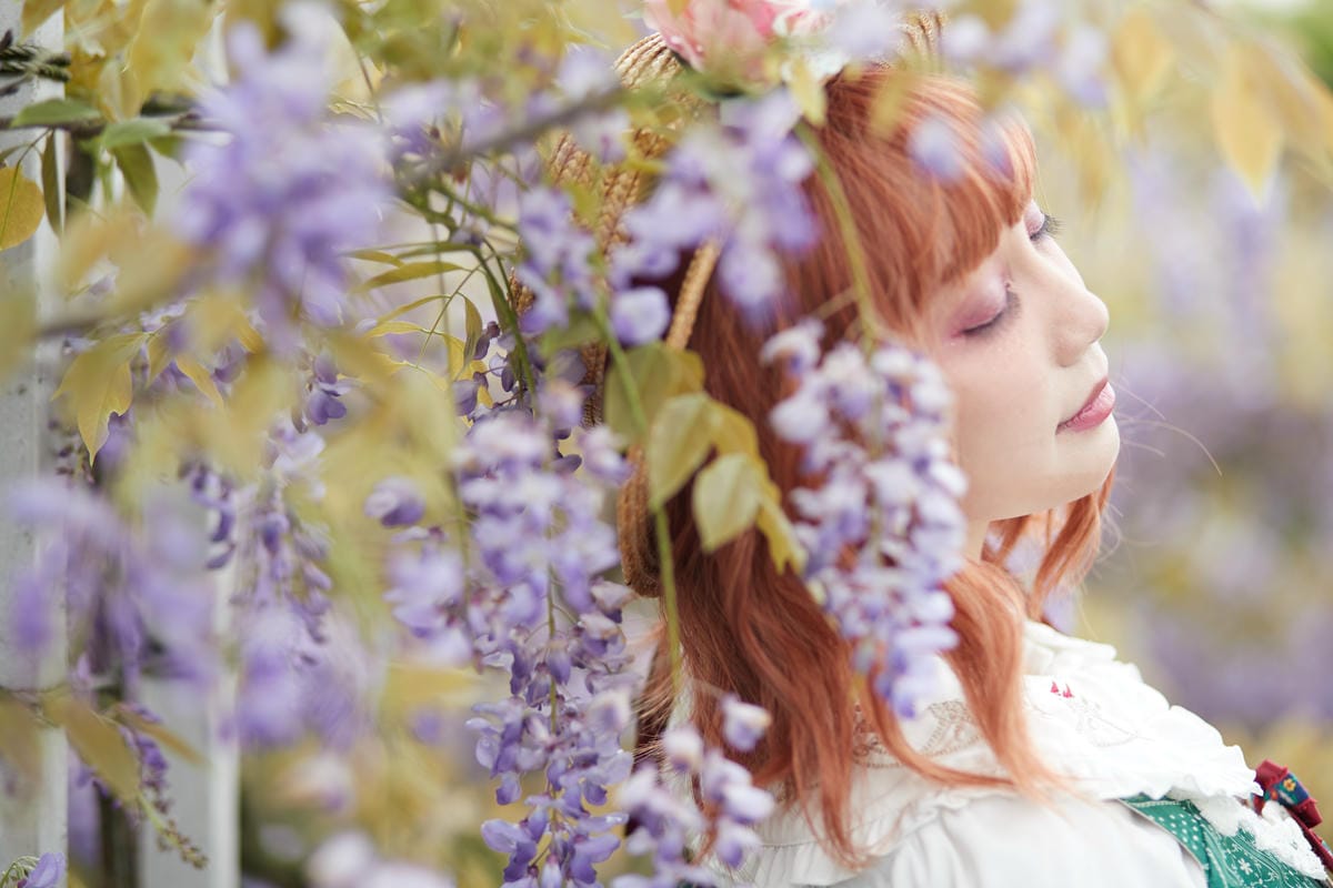 2020紫藤花