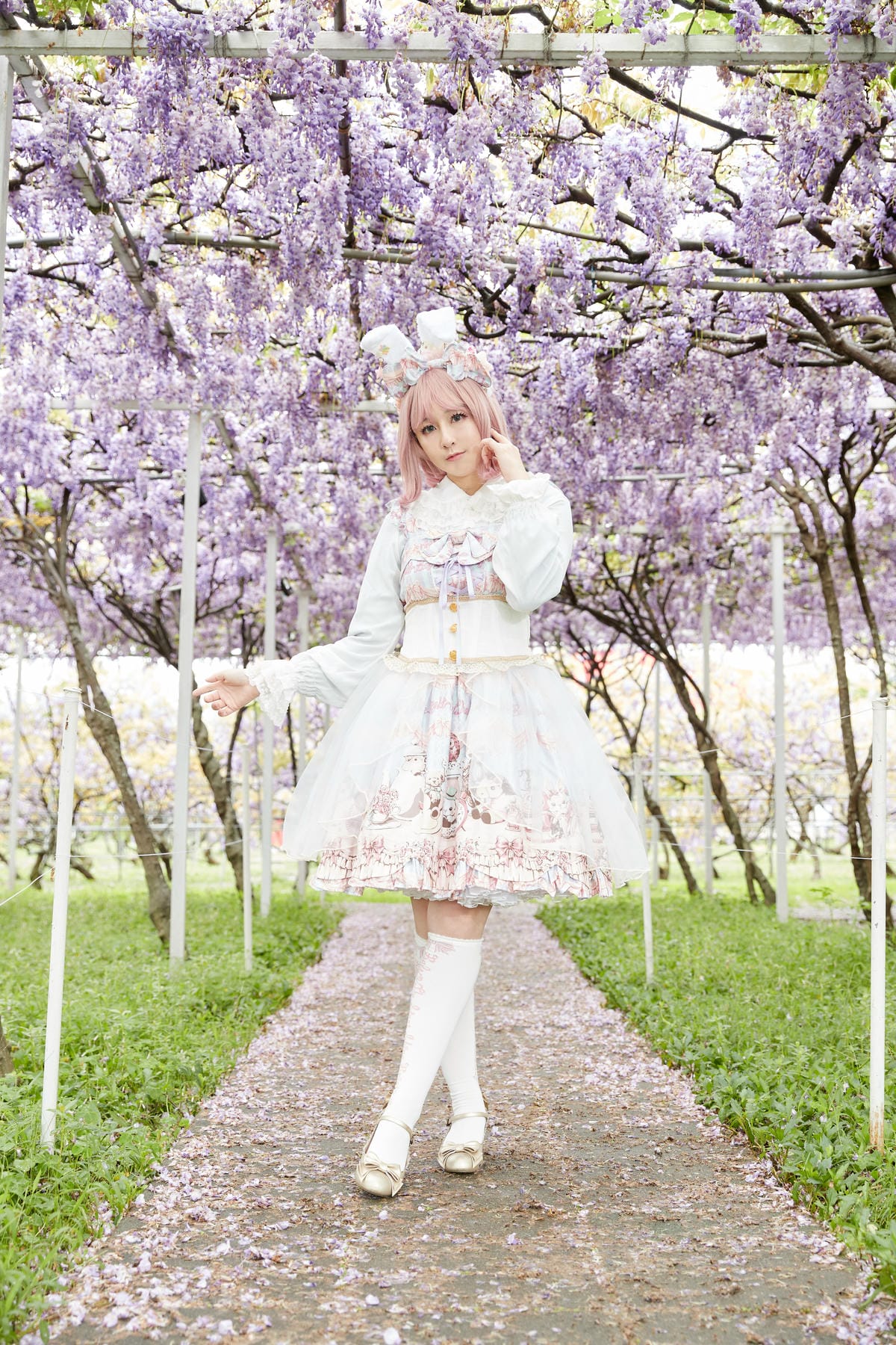 2020紫藤花
