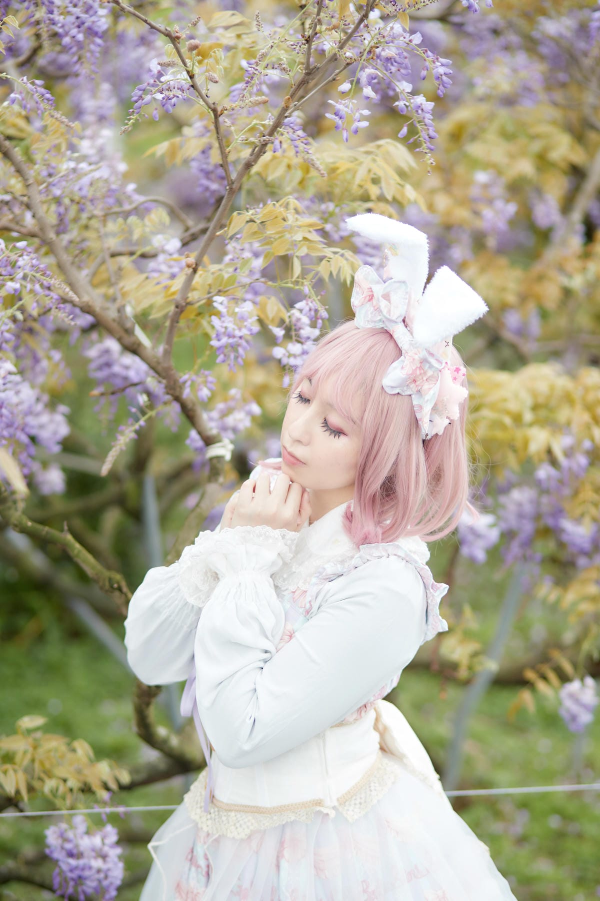 2020紫藤花