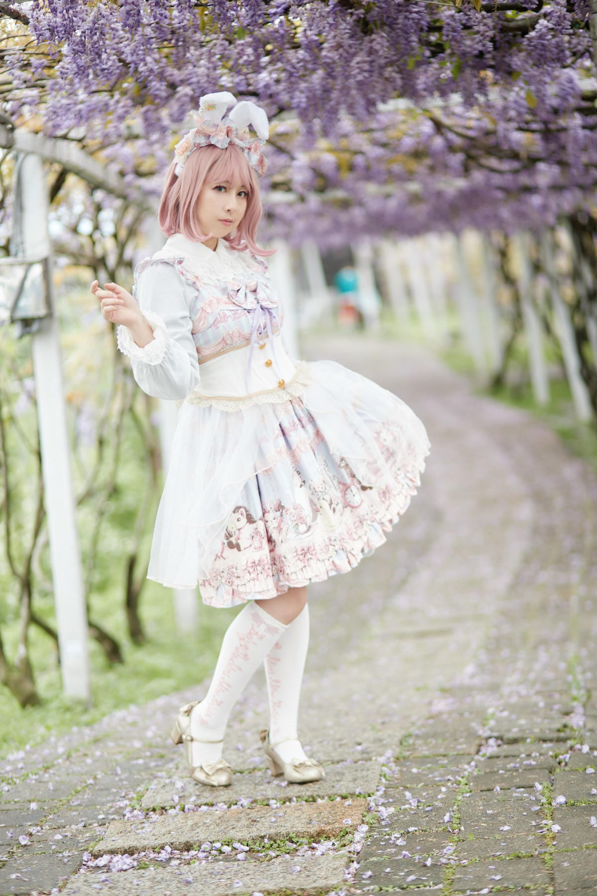 2020紫藤花