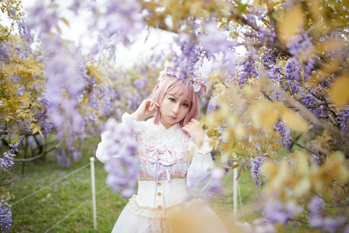 2020紫藤花