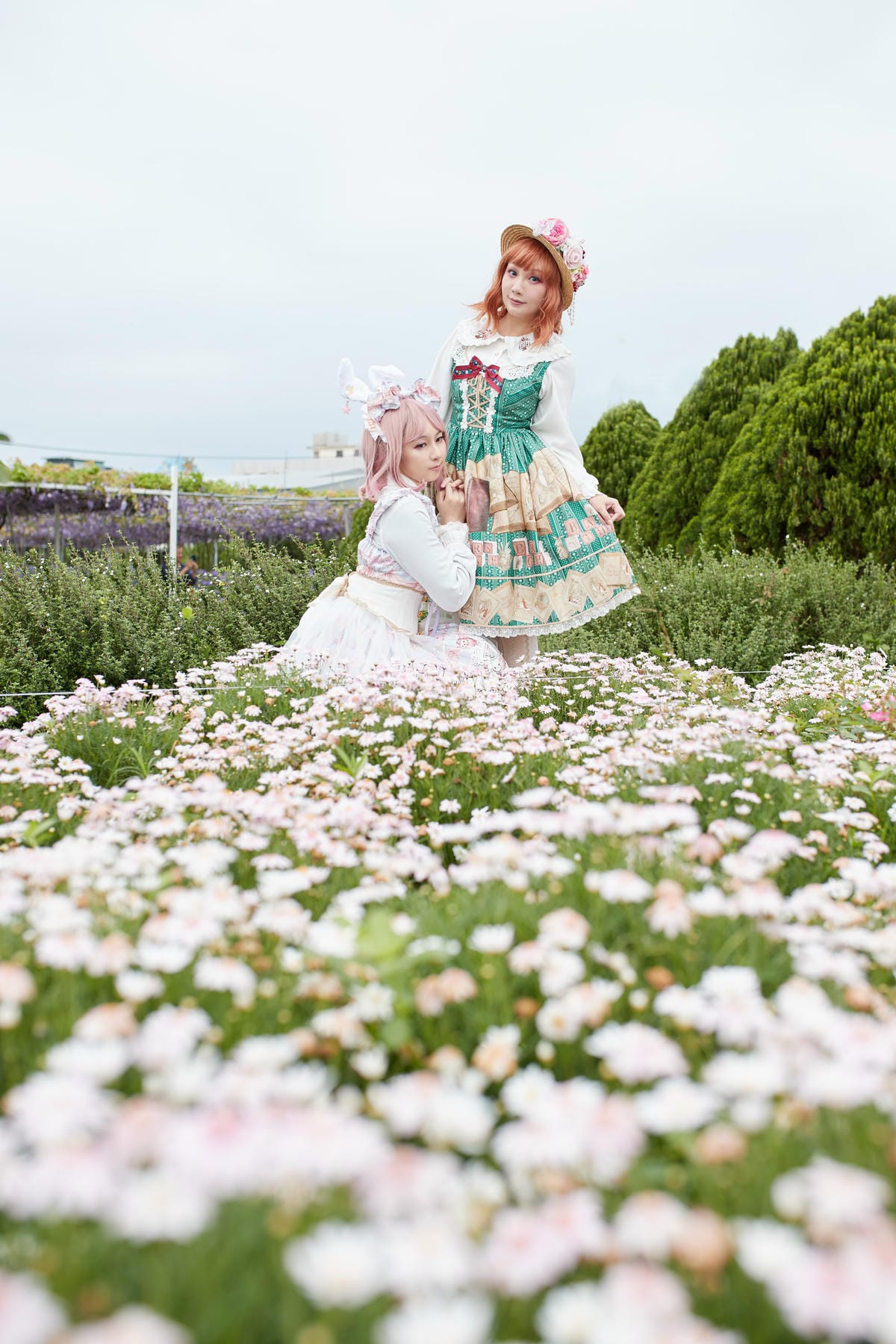 2020紫藤花