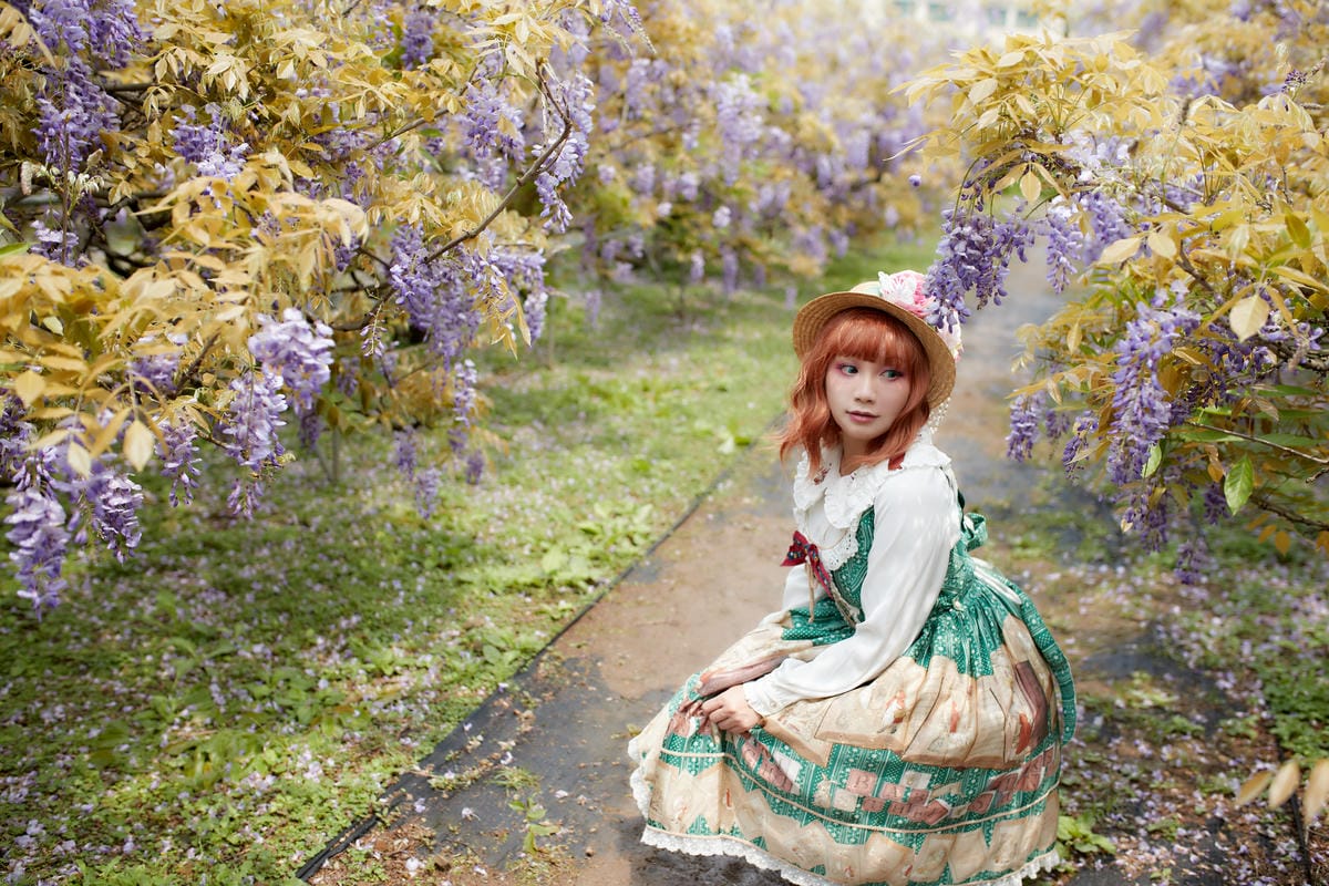 2020紫藤花