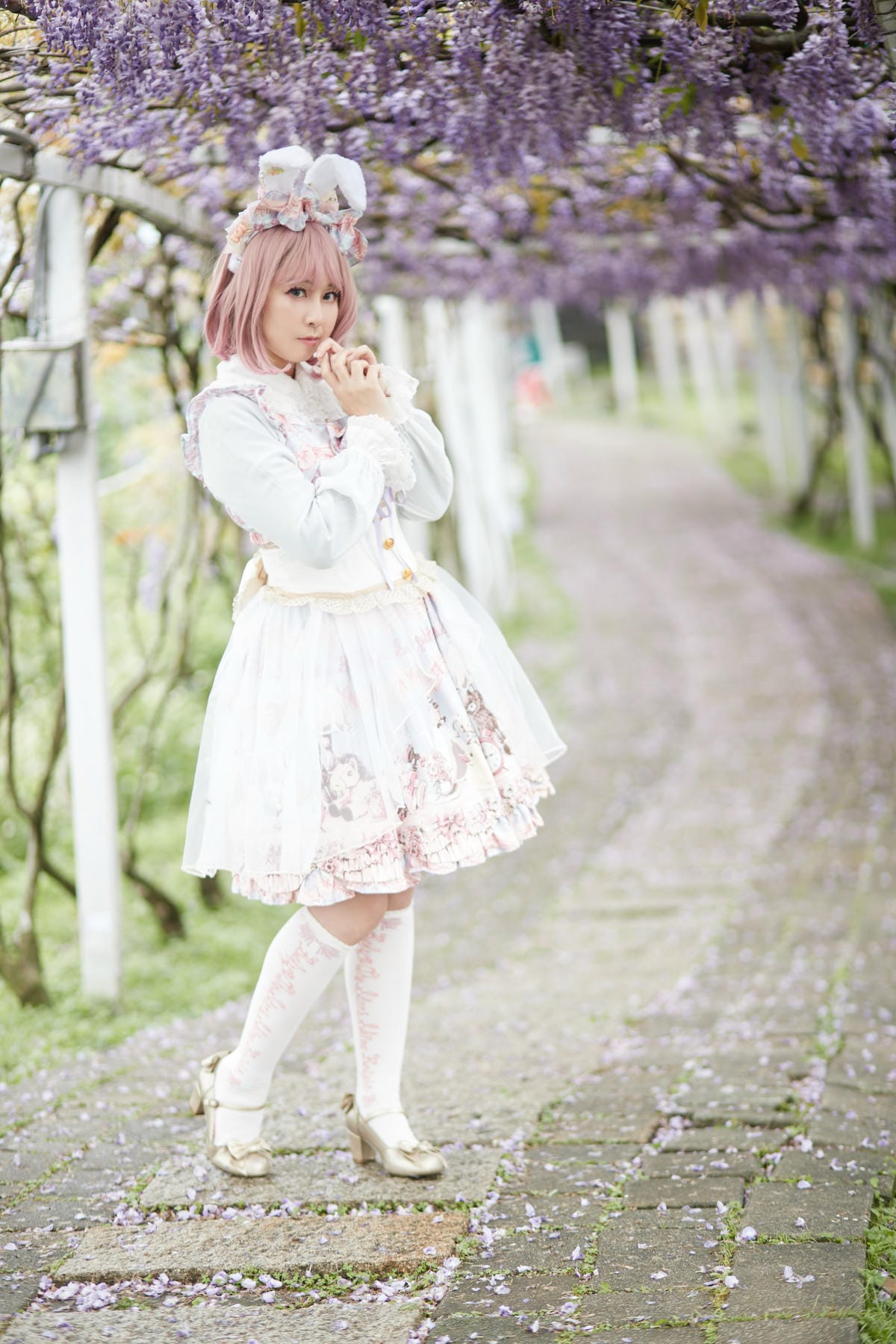 2020紫藤花