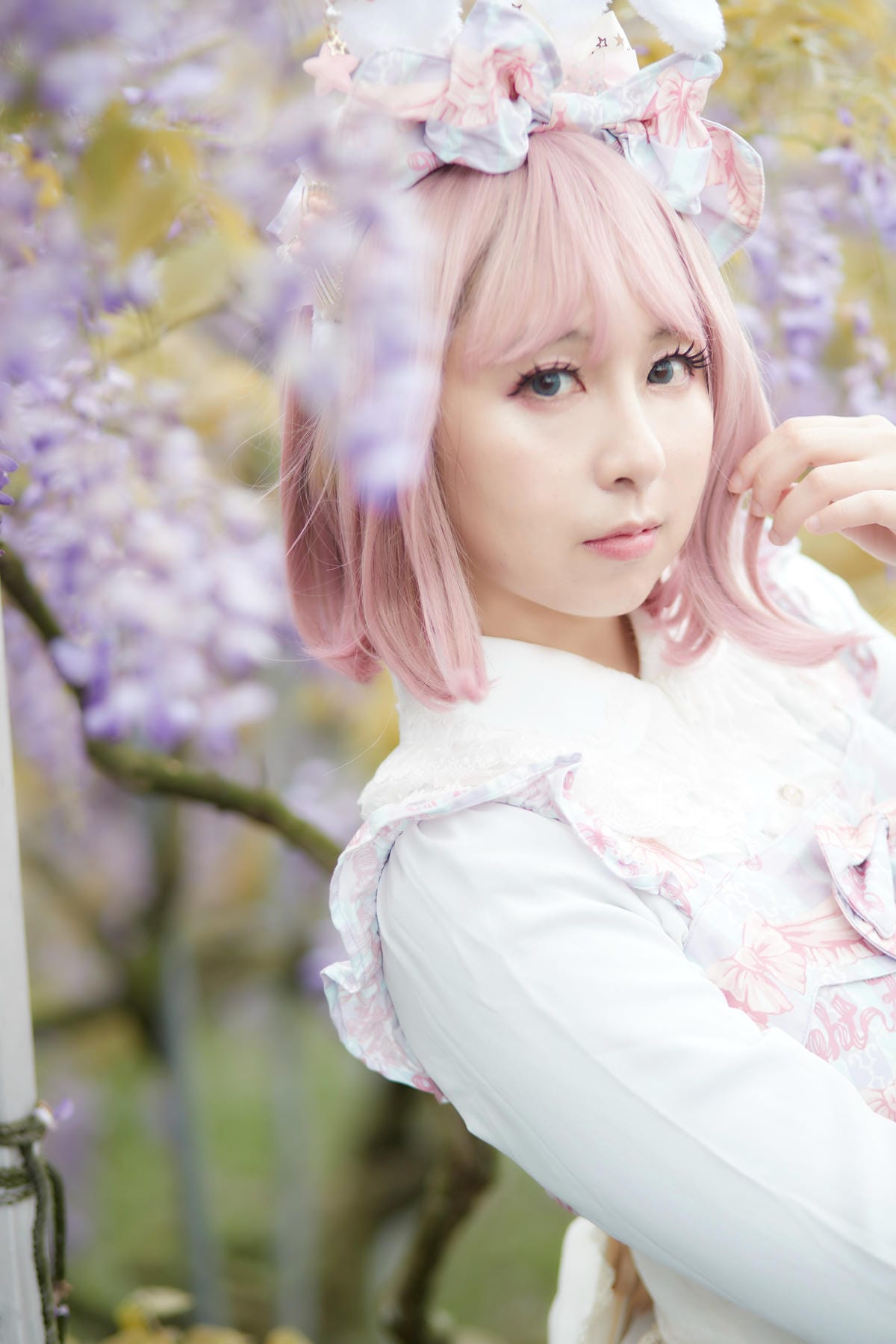 2020紫藤花