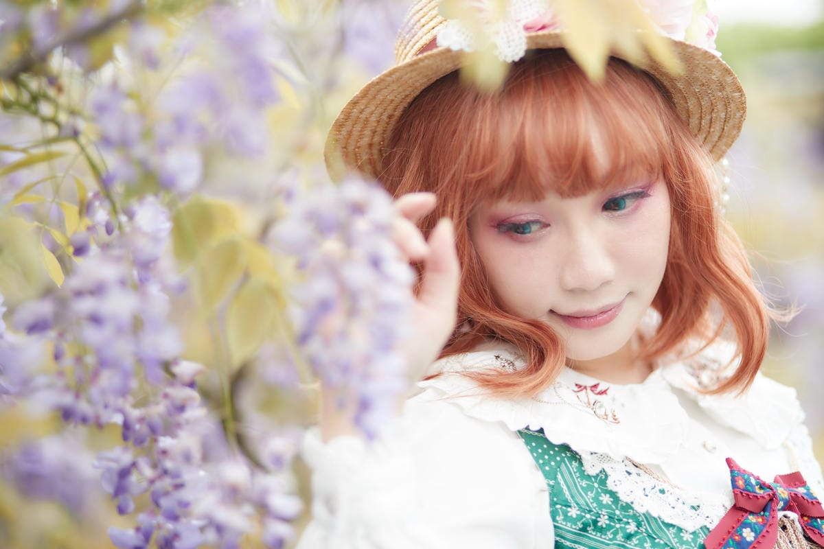 2020紫藤花