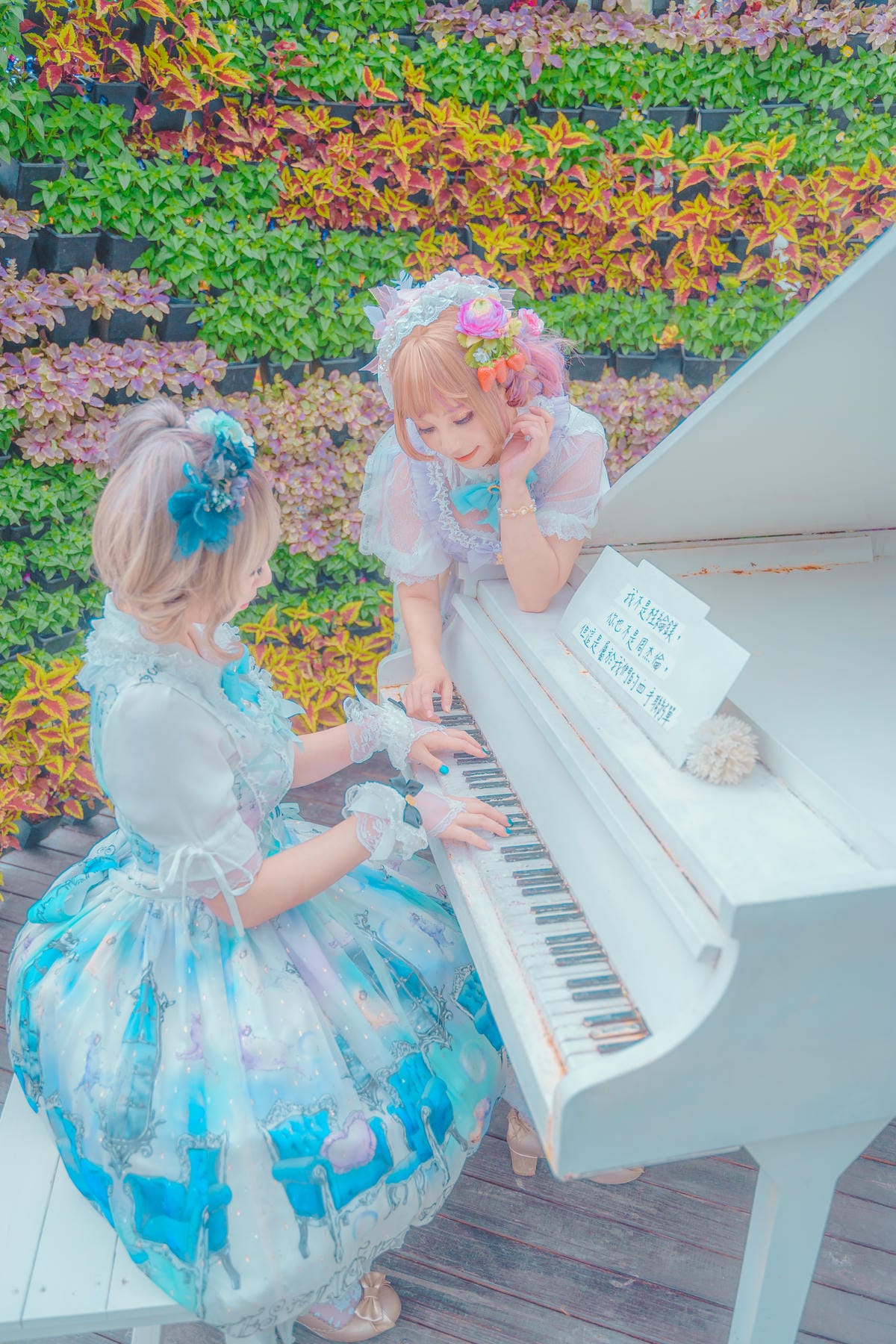 2020心之芳庭