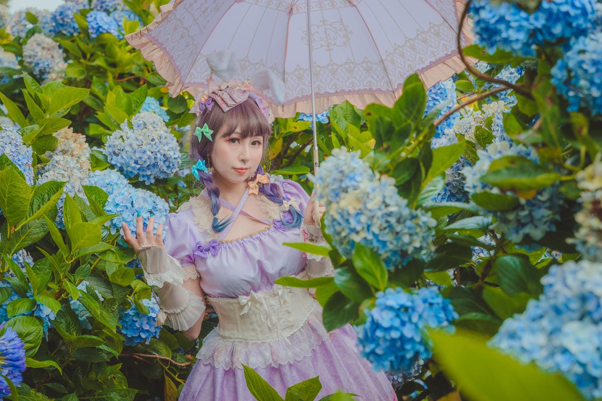 2020繡球花 2020繡球花