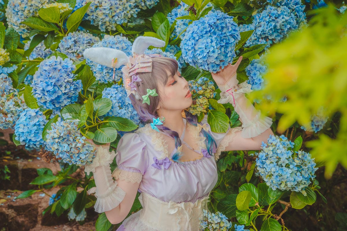 2020繡球花 2020繡球花