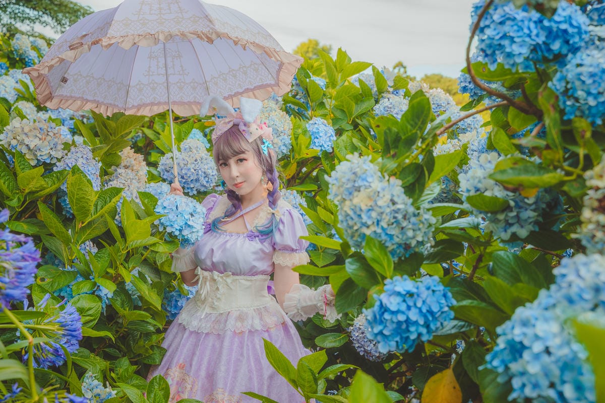 2020繡球花 2020繡球花