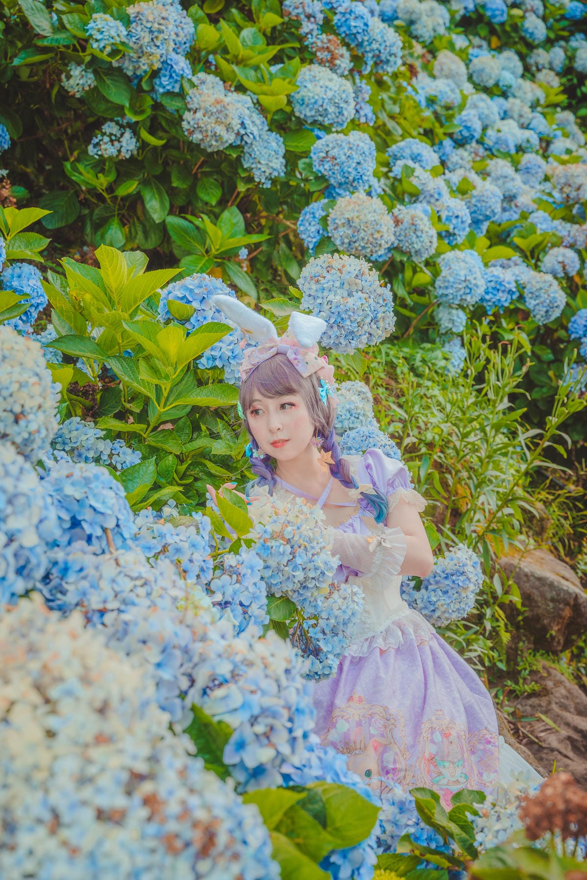 2020繡球花 2020繡球花