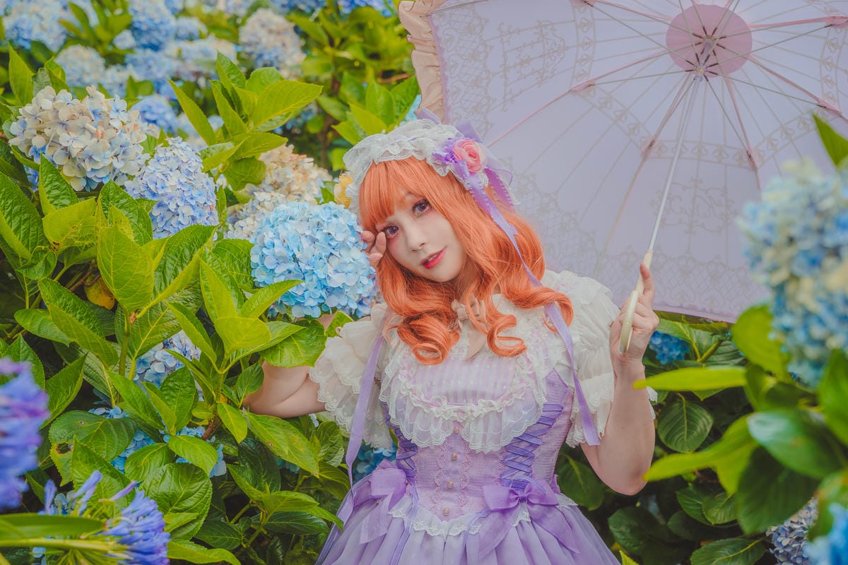 2020繡球花 2020繡球花