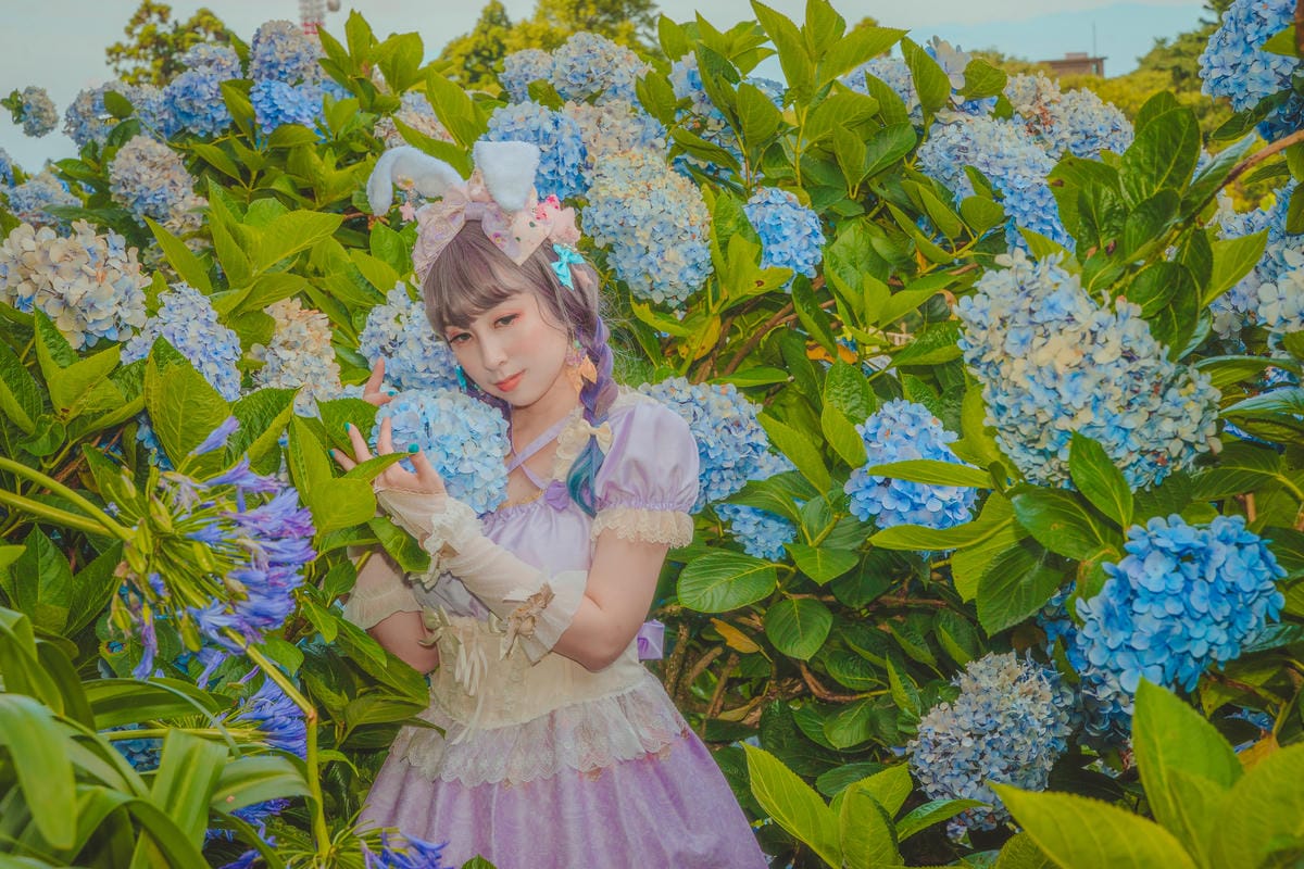 2020繡球花 2020繡球花
