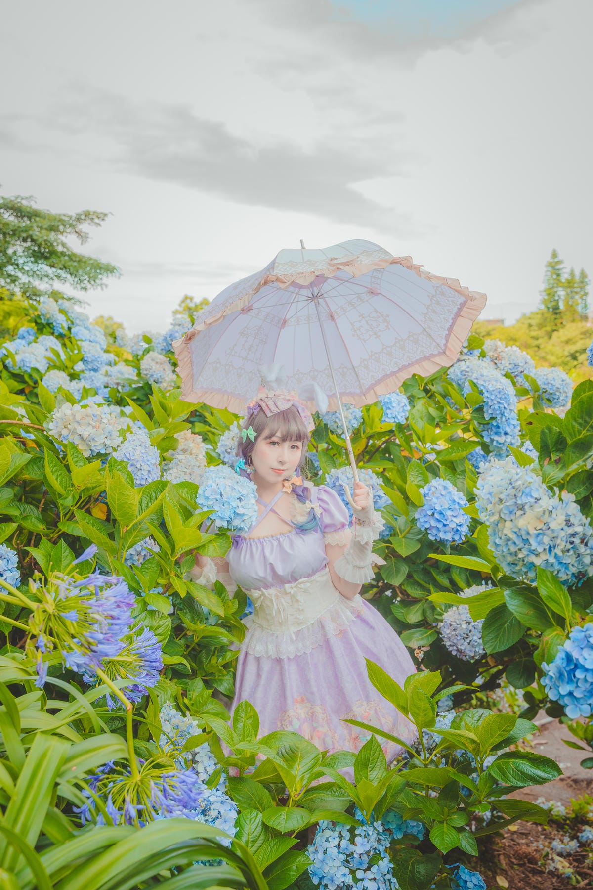 2020繡球花 2020繡球花