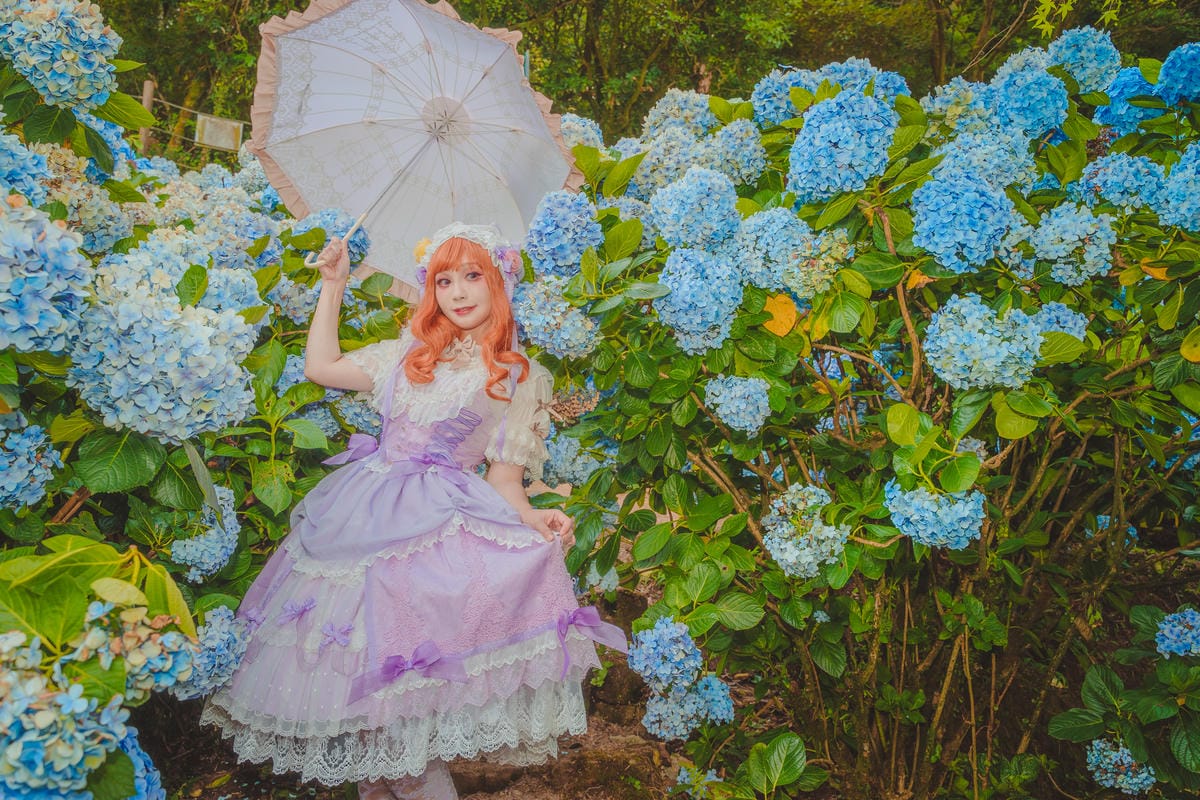 2020繡球花 2020繡球花