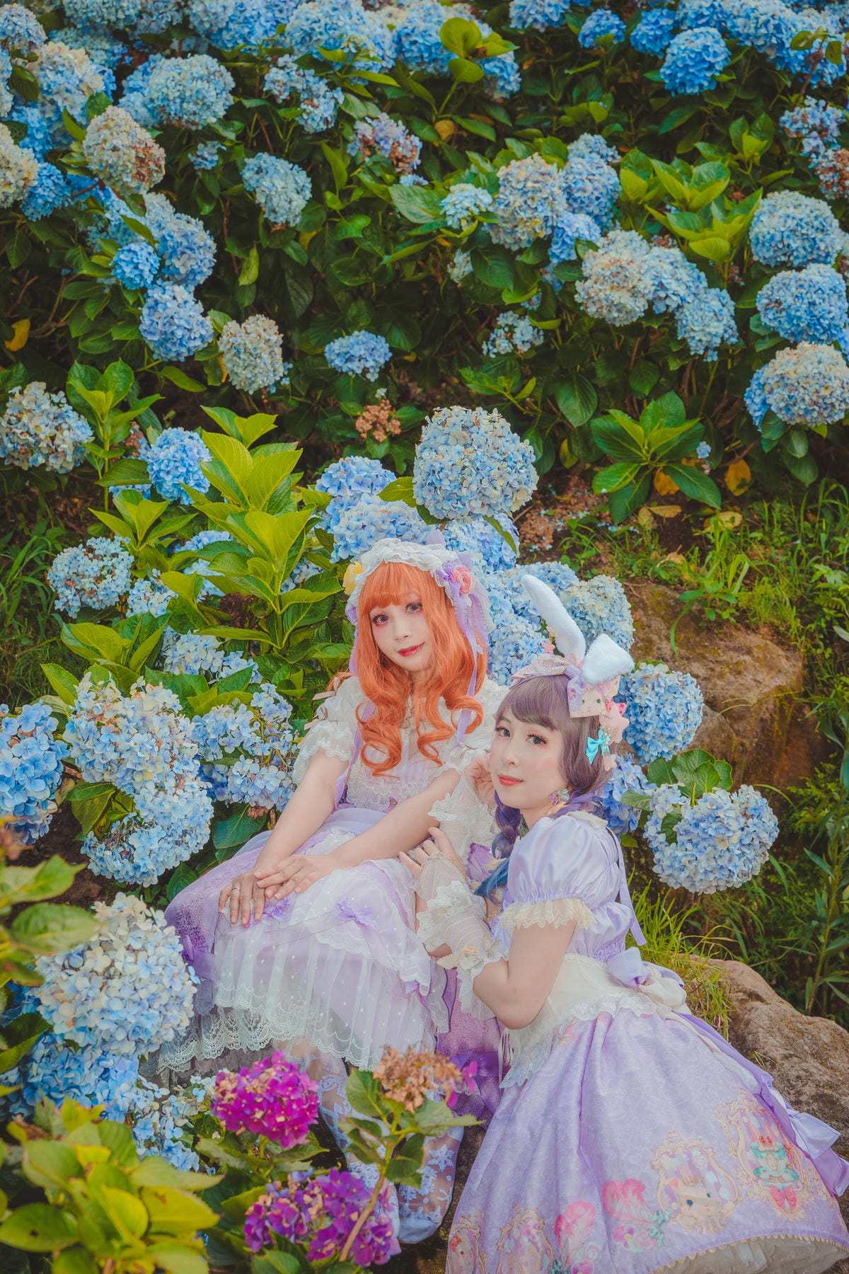 2020繡球花 2020繡球花