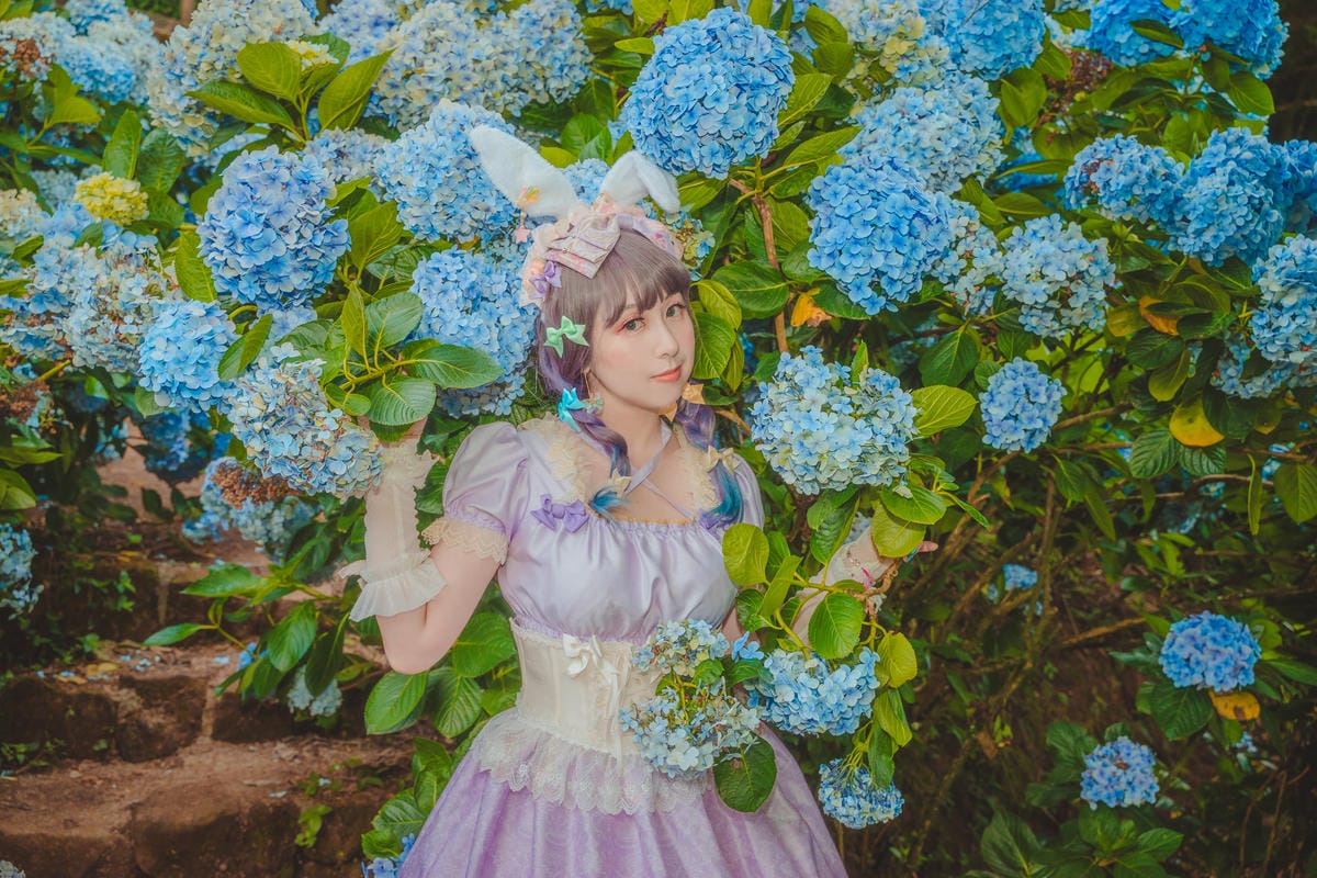 2020繡球花 2020繡球花