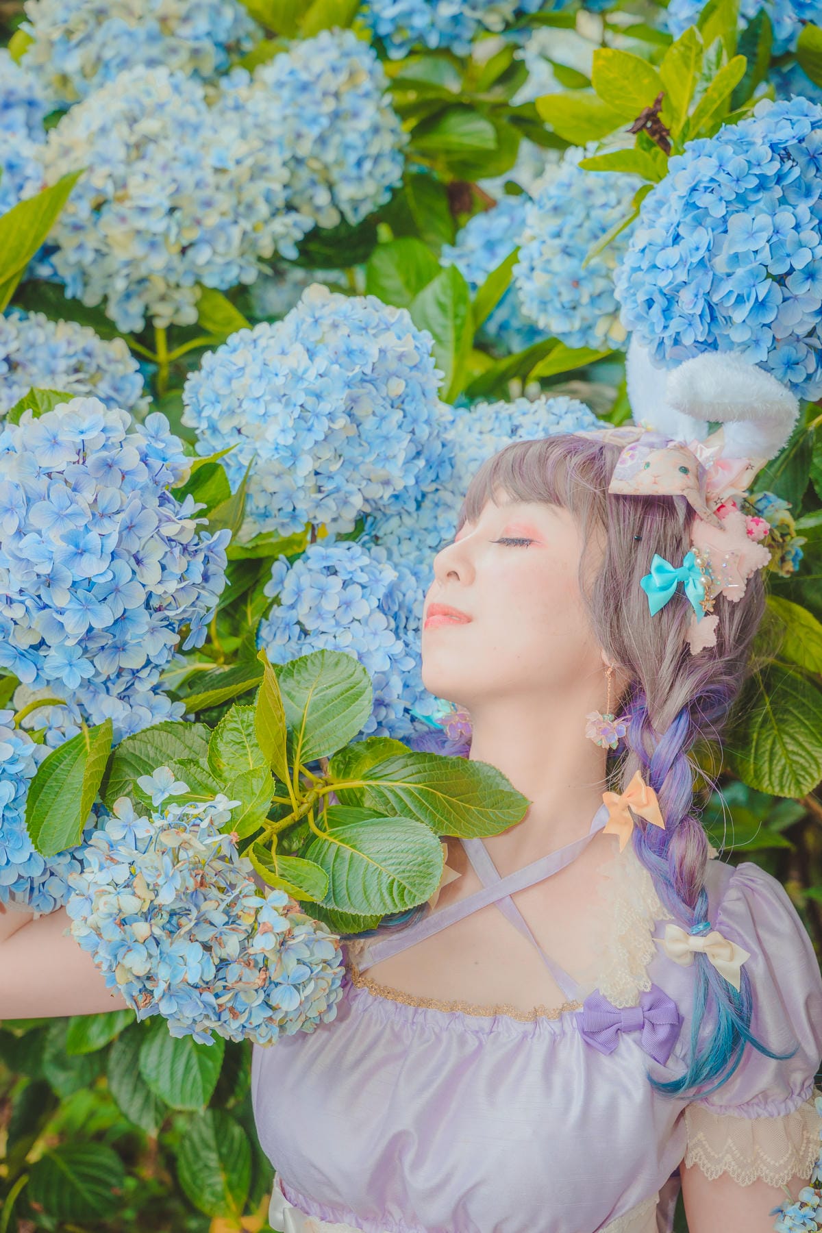 2020繡球花 2020繡球花