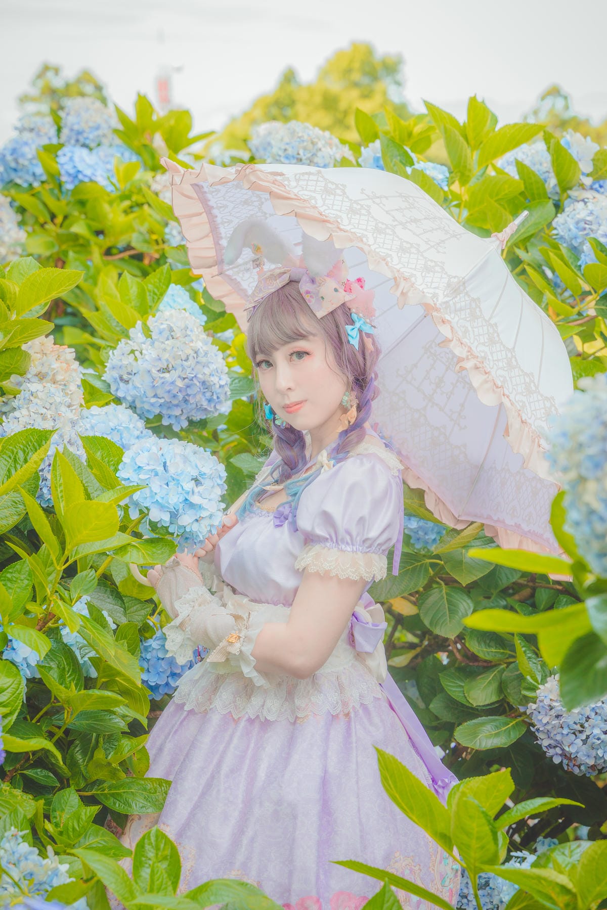 2020繡球花 2020繡球花