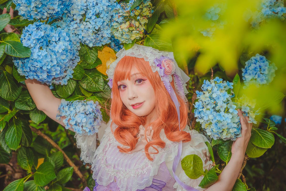 2020繡球花 2020繡球花