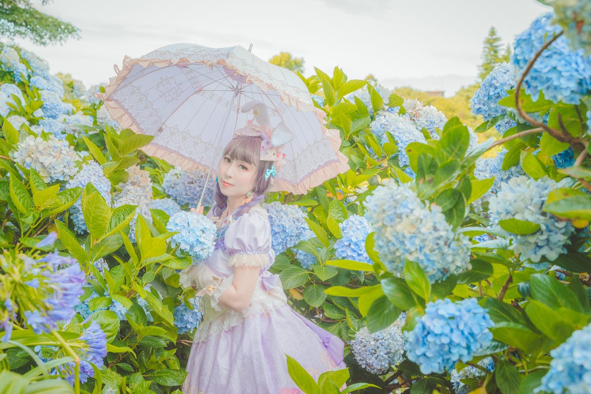 2020繡球花 2020繡球花