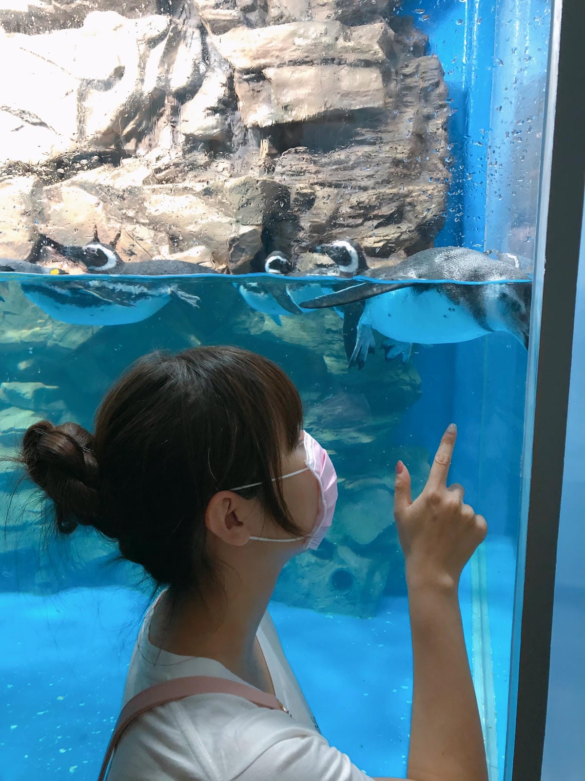 桃園-XPARK