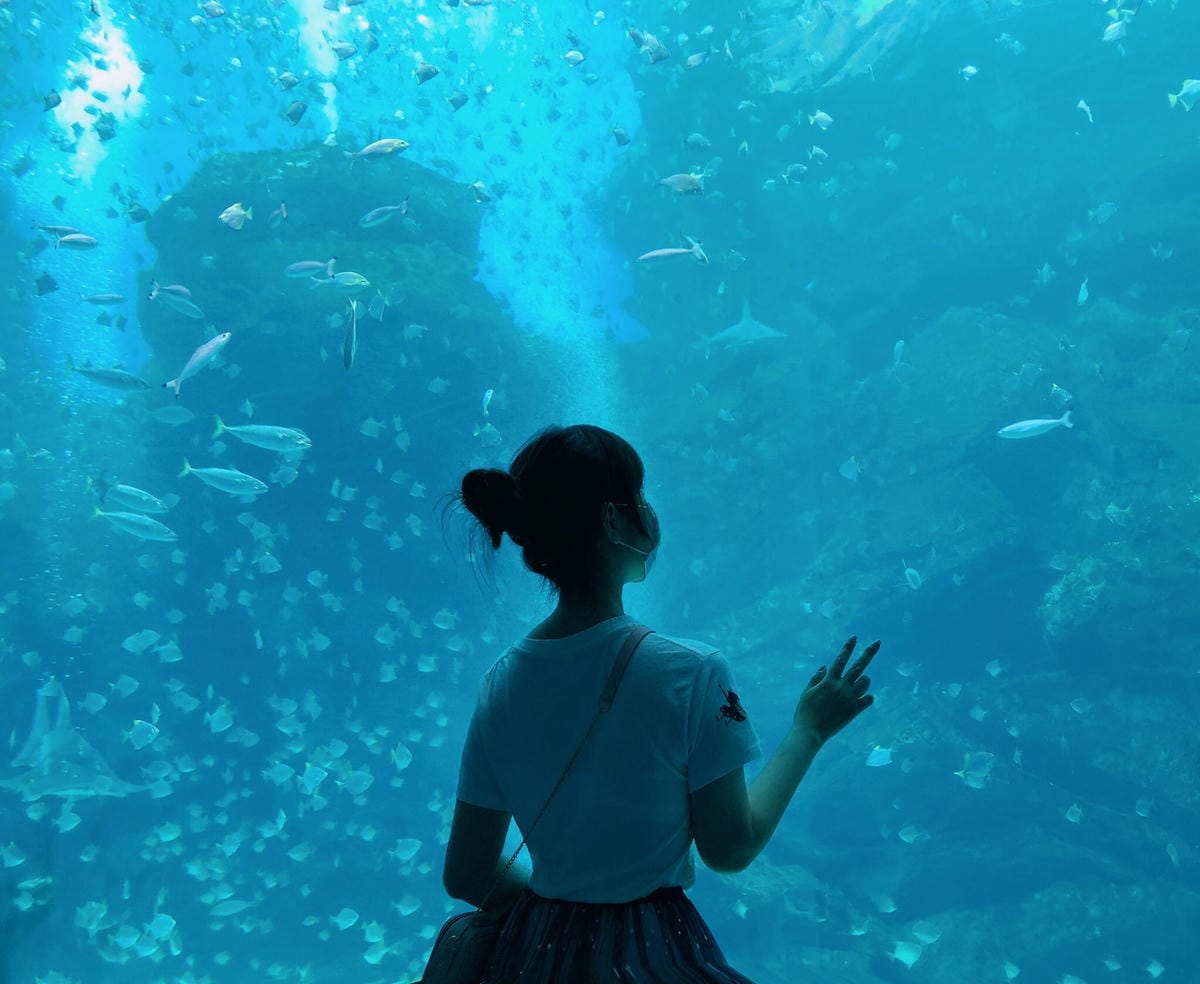 桃園▴中壢區│桃園新景點│青埔八景島水族館XPARK水生公園│XPARK