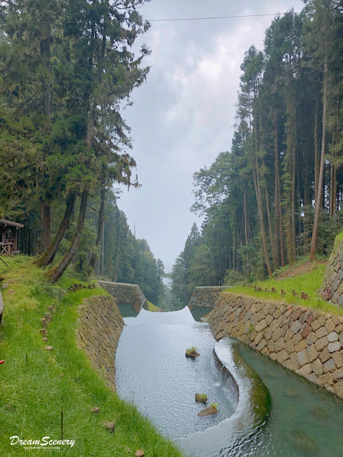 阿里山 阿里山