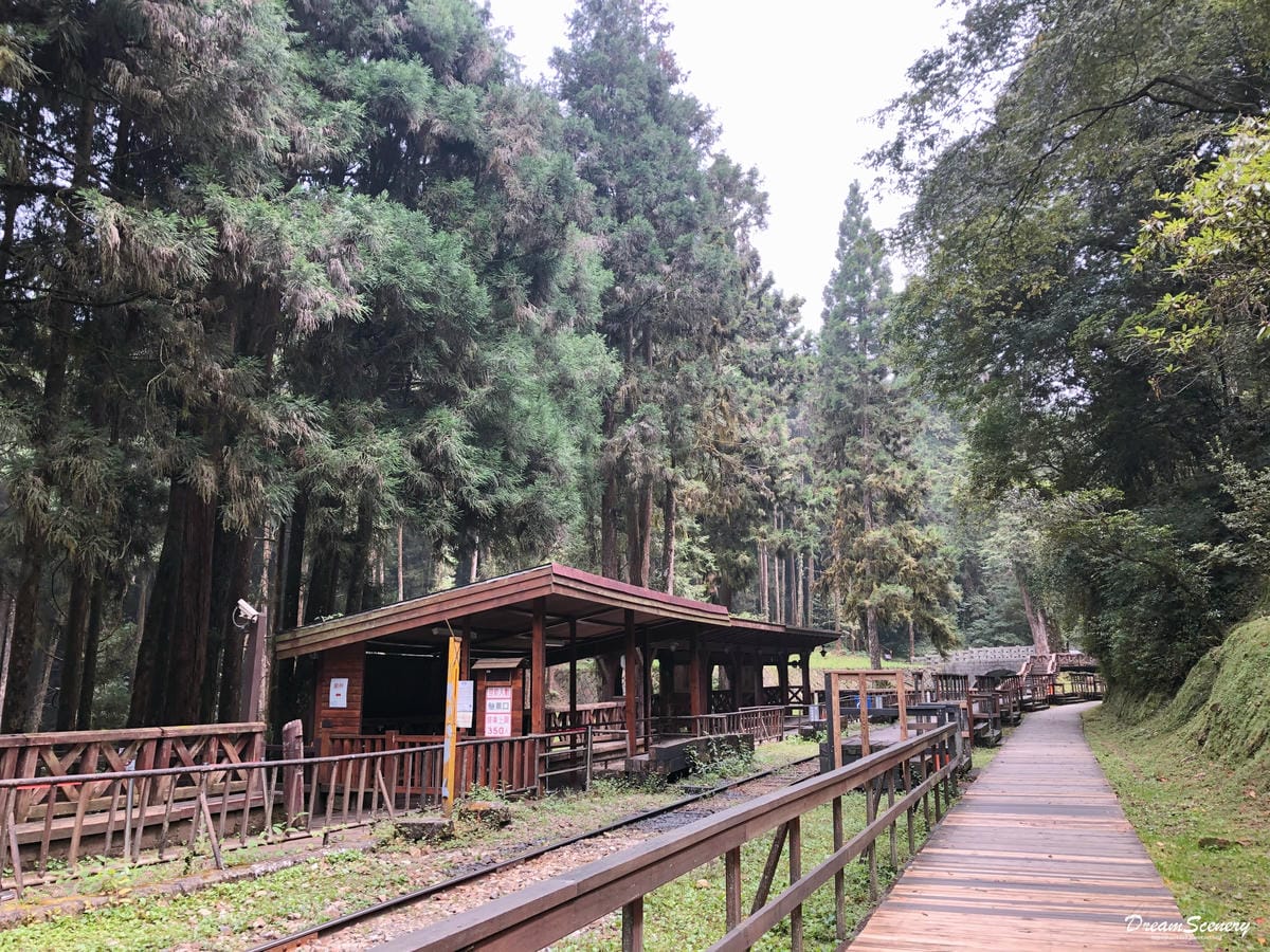 阿里山 阿里山