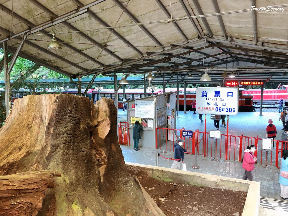 祝山觀日平台 祝山觀日平台