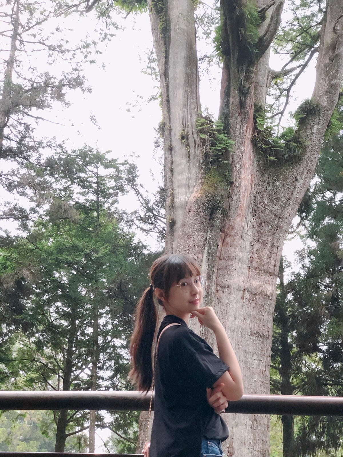 阿里山 阿里山